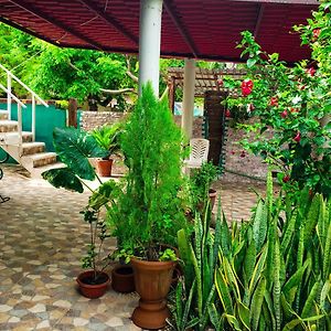 Vias Maya Bacalar Hotel